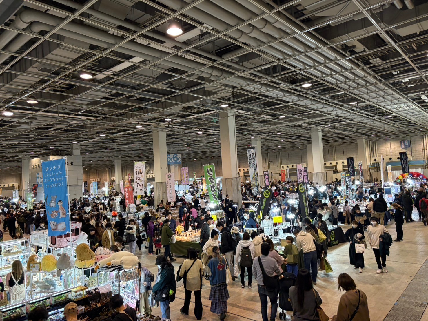 レプタイルズフィーバー 2026 Winter ~小さな恐竜たちの世界~のコピー