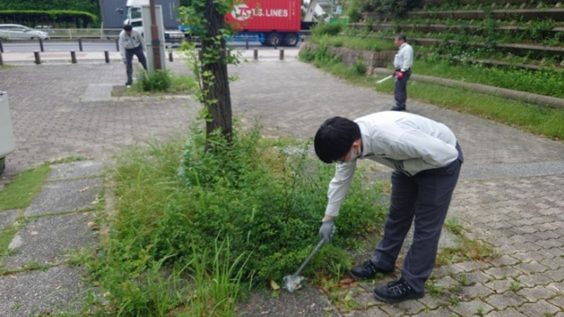/cms_upload/news/237/crean_2.jpg